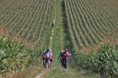 /album/erster-tag-2025-08-19/img-6334-ji-jpg/