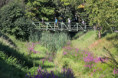 /album/2-tag-2025-08-29/img-6754-ji-jpg1/