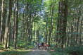 /album/2-tag-2025-08-29/img-7030-ji-jpg/