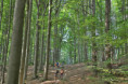 /album/2-tag-2025-08-29/img-7055-ji-jpg/