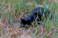 /album/3-tag-2025-08-21/img-7170-ji-jpg/