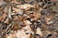 /album/3-tag-2025-08-21/img-7394-ji-jpg1/