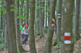 /album/3-tag-2025-08-21/img-7404-ji-jpg/