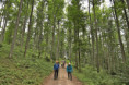 /album/3-tag-2025-08-21/img-7437-ji-jpg/