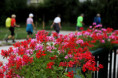 /album/3-tag-2025-08-21/img-7502-ji-jpg/