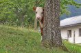 /album/3-tag-2025-08-21/img-7582-ji-jpg/
