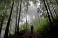 /album/4-tag-20250822/img-7805-ji-jpg/
