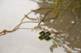 /album/5-tag-20250823/img-8484-ji-jpg/